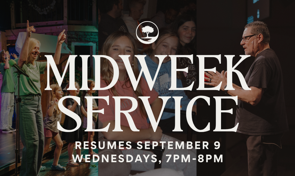 WEBSITE (93)