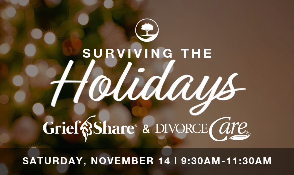 SURVIVING THE HOLIDAYS WORKSHOP WEBSITE